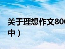 关于理想作文800字高中（理想作文800字高中）