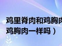 鸡里脊肉和鸡胸肉哪个减肥吃最好（鸡里脊和鸡胸肉一样吗）