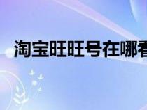 淘宝旺旺号在哪看啊（淘宝旺旺号在哪看）