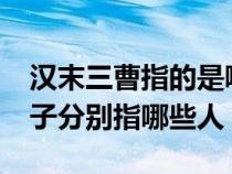 汉末三曹指的是哪三个人?（东汉末年三曹七子分别指哪些人）