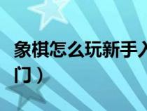 象棋怎么玩新手入门讲解（象棋怎么玩新手入门）