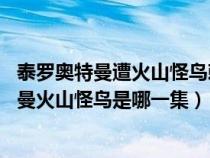 泰罗奥特曼遭火山怪鸟刺穿腹部 这段看哭不少人（泰罗奥特曼火山怪鸟是哪一集）