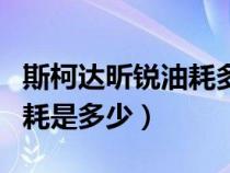 斯柯达昕锐油耗多少钱一公里（斯柯达昕锐油耗是多少）