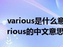 various是什么意思中文翻译怎么读（英语various的中文意思）