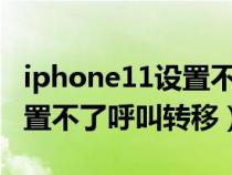 iphone11设置不了呼叫转移（苹果11怎么设置不了呼叫转移）