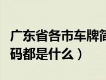 广东省各市车牌简称表（广东各市车牌字母代码都是什么）