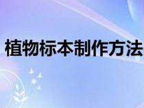 植物标本制作方法图解（植物标本制作方法）