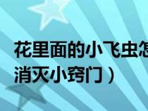 花里面的小飞虫怎么消灭（花里的小飞虫怎么消灭小窍门）