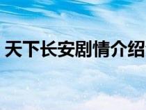 天下长安剧情介绍全集（天下长安剧情介绍）