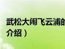 武松大闹飞云浦的概括（武松大闹飞云浦概括介绍）