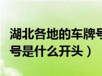 湖北各地的车牌号以什么开头（湖北省的车牌号是什么开头）