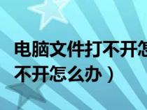 电脑文件打不开怎么办如何修复（电脑文件打不开怎么办）