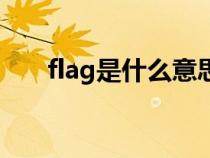 flag是什么意思（立flag是什么意思）