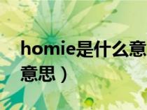 homie是什么意思中文翻译（homie是什么意思）