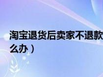 淘宝退货后卖家不退款怎么办呀（淘宝退货后卖家不退款怎么办）