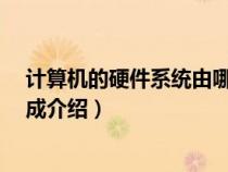 计算机的硬件系统由哪几部分组成?（计算机硬件系统的组成介绍）