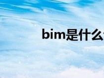 bim是什么证书（bim是什么）