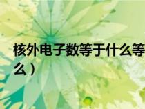 核外电子数等于什么等于什么等于什么（核外电子数等于什么）