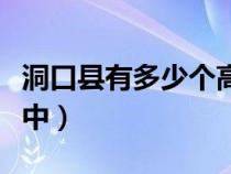 洞口县有多少个高中（湖南省洞口县有几所高中）