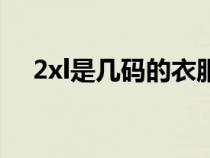 2xl是几码的衣服（2xl是多大尺码上衣）