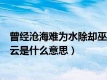 曾经沧海难为水除却巫山不是云是什么意思（除却巫山不是云是什么意思）