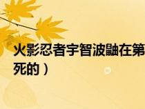 火影忍者宇智波鼬在第几集死的（火影忍者宇智波鼬第几集死的）