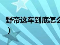 野帝这车到底怎么样（野帝属于什么级别的车）