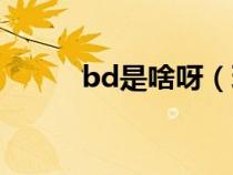 bd是啥呀（玩bd是什么意思啊）