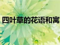 四叶草的花语和寓意（四叶草代表什么含义）