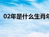 02年是什么生肖年（02年什么生肖年多大）