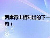 两岸青山相对出的下一句是啥玩意（两岸青山相对出的下一句）