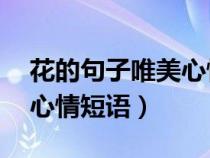 花的句子唯美心情短语50字（花的句子唯美心情短语）