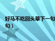 好马不吃回头草下一句是什么歇后语（好马不吃回头草下一句）