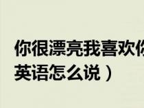 你很漂亮我喜欢你用英语怎么说（我喜欢你用英语怎么说）