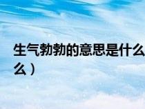 生气勃勃的意思是什么解释呢一年级（生气勃勃的意思是什么）