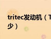 tritec发动机（TERRAIN的发动机参数是多少）