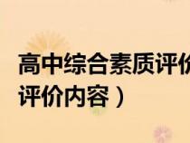 高中综合素质评价内容怎么写（高中综合素质评价内容）