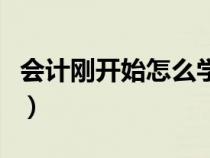 会计刚开始怎么学（会计新手该如何学习会计）