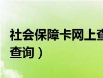 社会保障卡网上查询怎么查（社会保障卡网上查询）