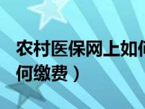 农村医保网上如何缴费380（农村医保网上如何缴费）