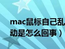 mac鼠标自己乱动是怎么回事（鼠标自己乱动是怎么回事）