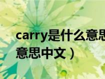 carry是什么意思中文怎么读（carry是什么意思中文）