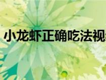 小龙虾正确吃法视频教程（小龙虾正确吃法）