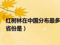 红树林在中国分布最多的省市（红树林在中国分布的最多的省份是）