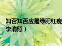 知否知否应是绿肥红瘦李清照全诗（知否知否应是绿肥红瘦李清照）