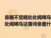 春眠不觉晓处处闻啼鸟这首诗的意思是什么（春眠不觉晓处处闻啼鸟这首诗意是什么）