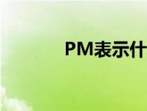 PM表示什么（pm表示什么）