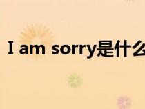 I am sorry是什么意思（sorry是什么意思）