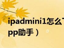 ipadmini1怎么下载pp助手（ipad怎么下载pp助手）