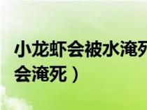 小龙虾会被水淹死吗（小龙虾一直在水里会不会淹死）